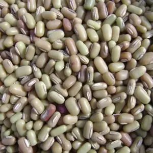 Kathika Yellow Beans  Unit: 24x2.2lb